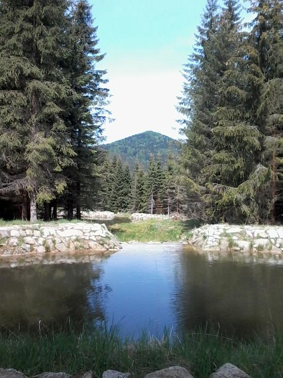 Penzion Ivana Harrachov Εξωτερικό φωτογραφία
